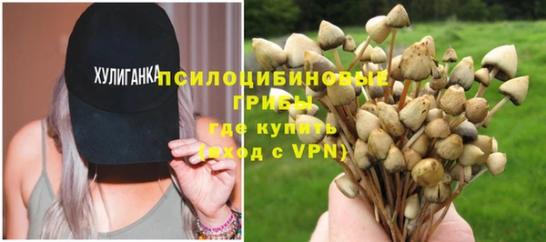 мескалин Баксан