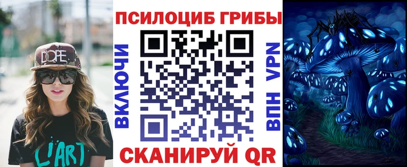 ОМГ ОМГ сайт  Ессентуки  Псилоцибиновые грибы Cubensis 