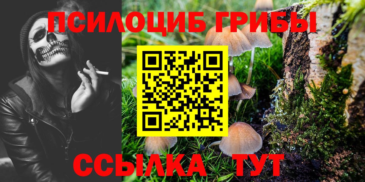 Псилоцибиновые грибы прущие грибы Ессентуки